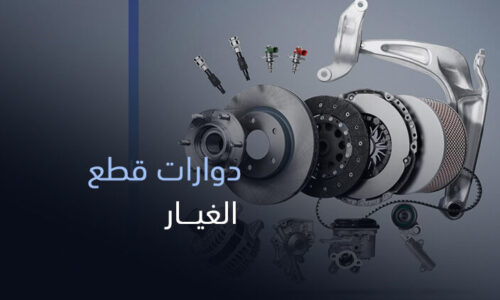 الصورة المصغرة للدورة
